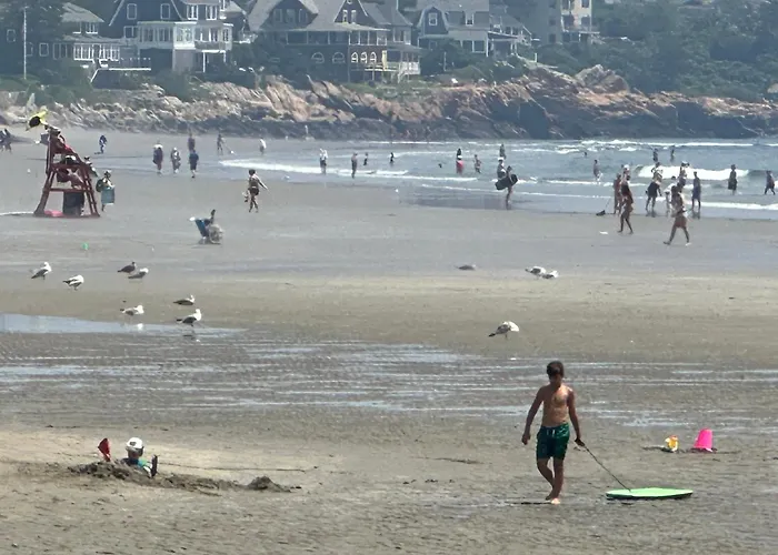 Ocean Breeze-8Min Walk To Beach