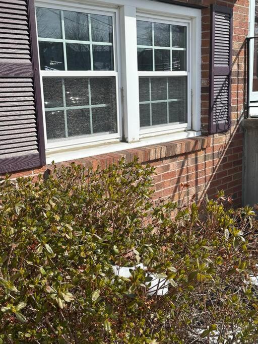 Apartment Ocean Breeze-8min Walk To Gloucester