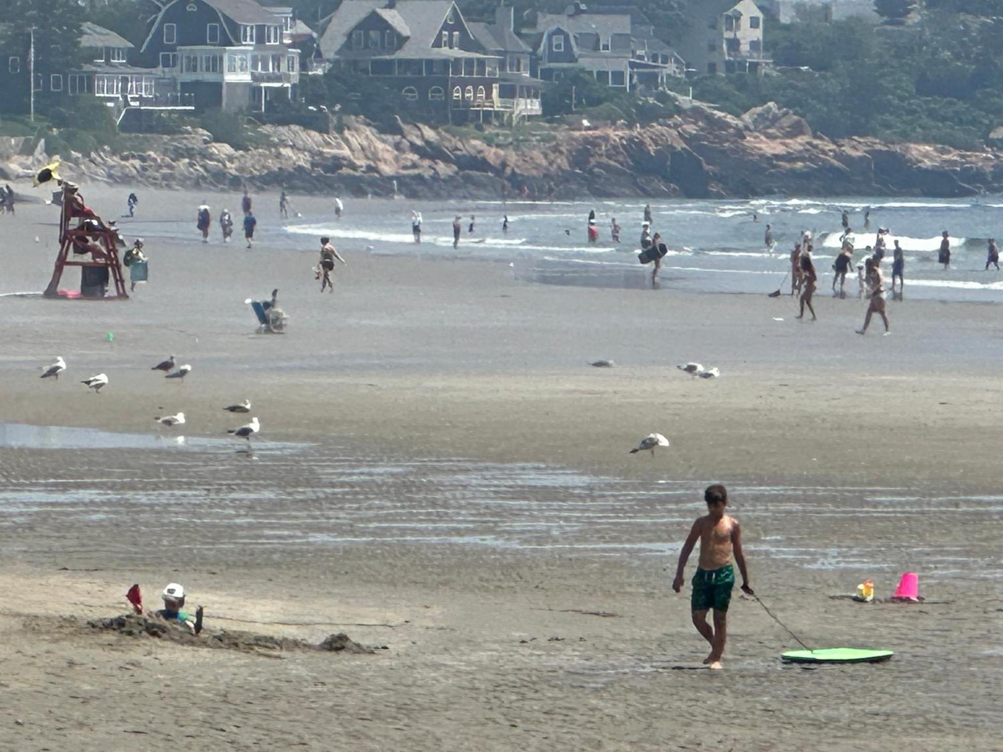 Ocean Breeze-8min Walk To Gloucester